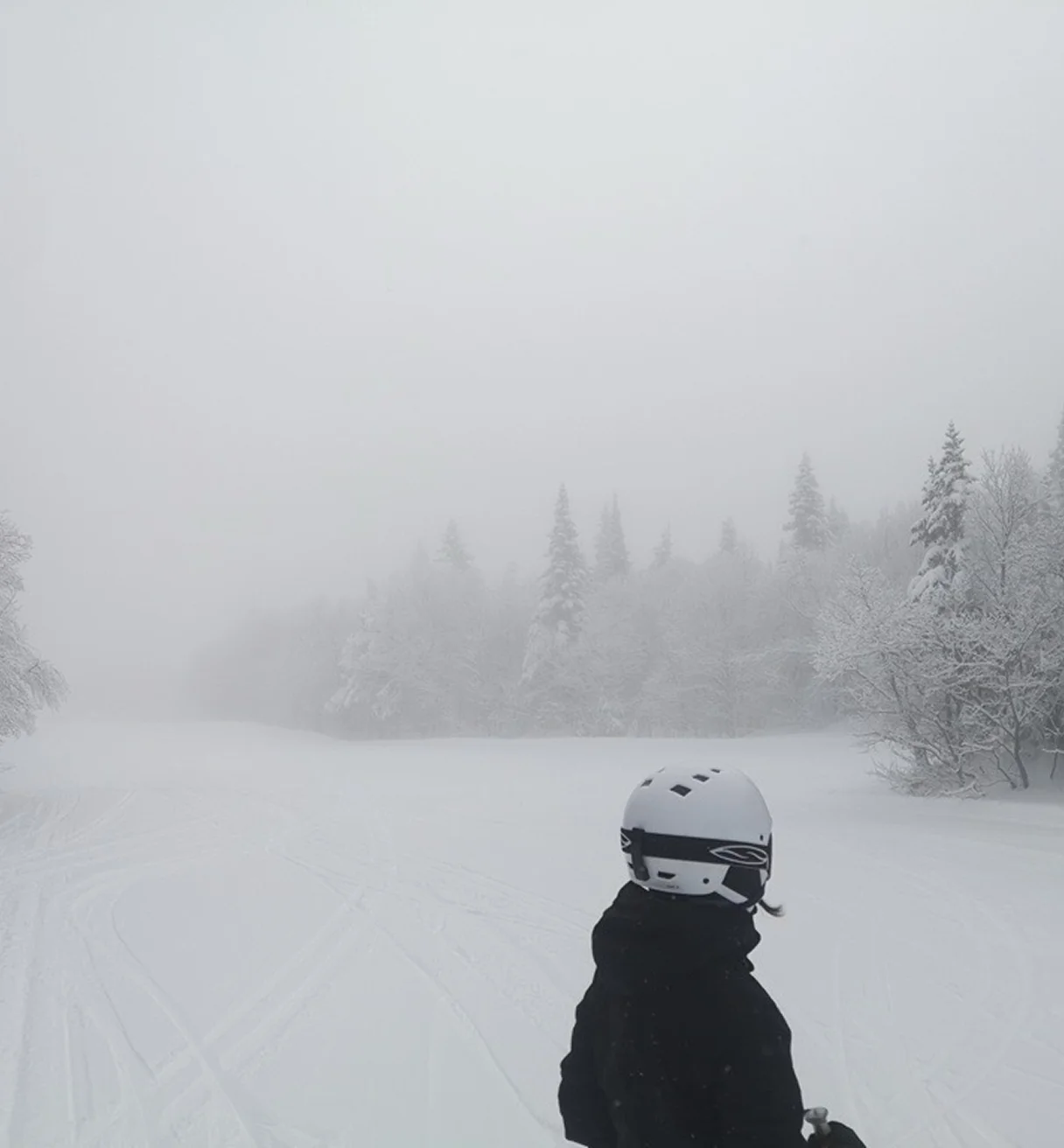 Image Ski